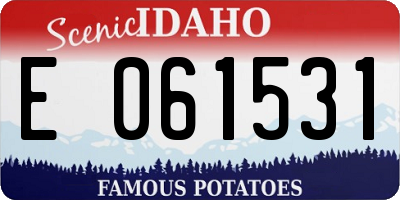 ID license plate E061531