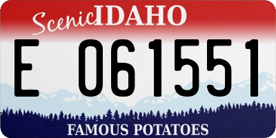 ID license plate E061551