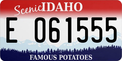 ID license plate E061555