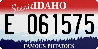 ID license plate E061575