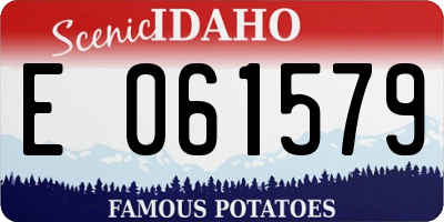 ID license plate E061579