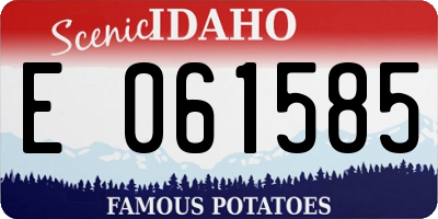 ID license plate E061585