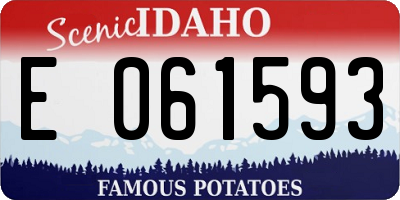 ID license plate E061593