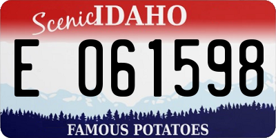 ID license plate E061598