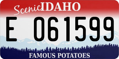 ID license plate E061599