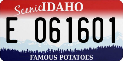 ID license plate E061601