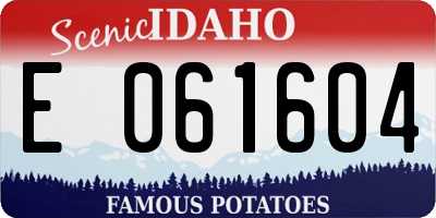 ID license plate E061604