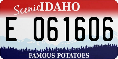 ID license plate E061606