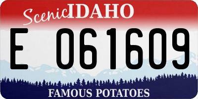ID license plate E061609