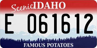 ID license plate E061612