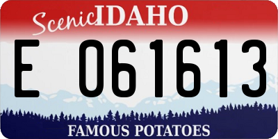 ID license plate E061613