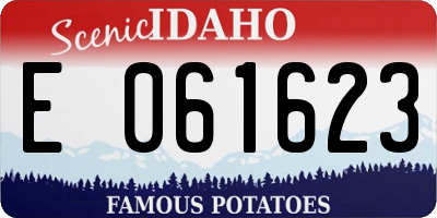 ID license plate E061623