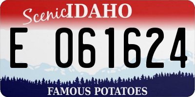 ID license plate E061624