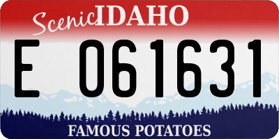 ID license plate E061631