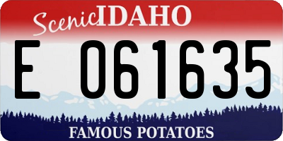 ID license plate E061635