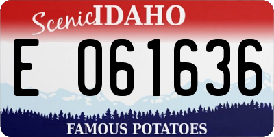 ID license plate E061636