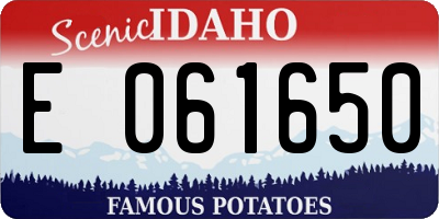 ID license plate E061650