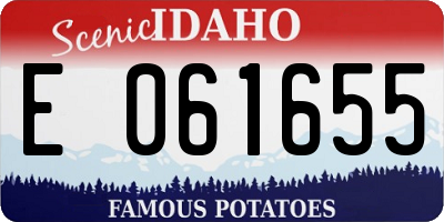 ID license plate E061655