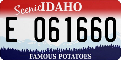 ID license plate E061660