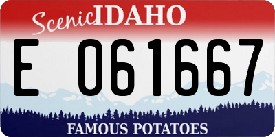 ID license plate E061667