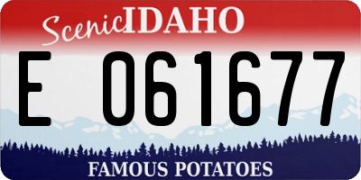 ID license plate E061677