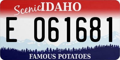 ID license plate E061681