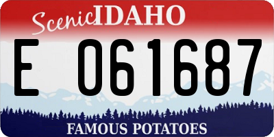 ID license plate E061687