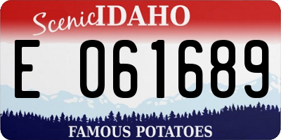 ID license plate E061689