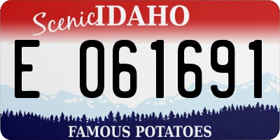 ID license plate E061691