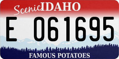 ID license plate E061695