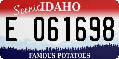 ID license plate E061698