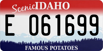 ID license plate E061699