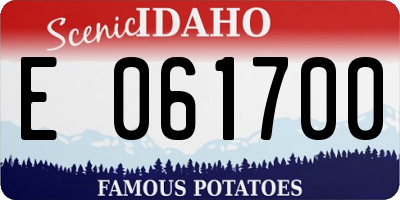 ID license plate E061700