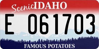 ID license plate E061703