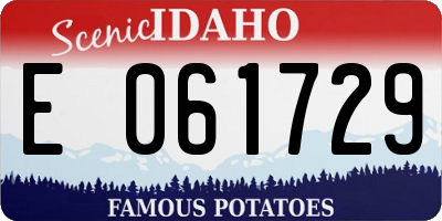ID license plate E061729