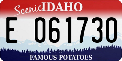 ID license plate E061730