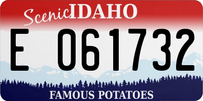 ID license plate E061732