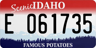 ID license plate E061735