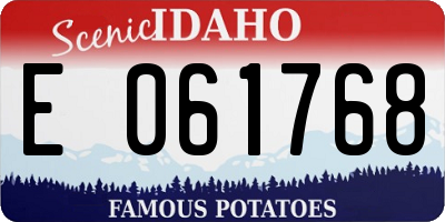 ID license plate E061768