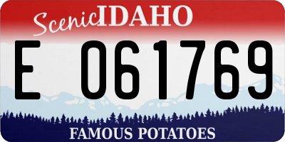 ID license plate E061769