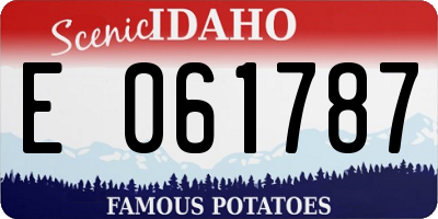 ID license plate E061787