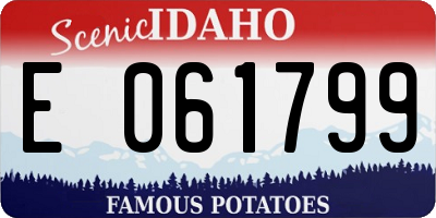 ID license plate E061799