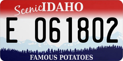 ID license plate E061802