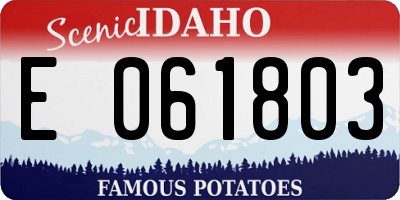 ID license plate E061803