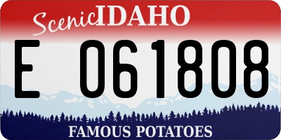 ID license plate E061808