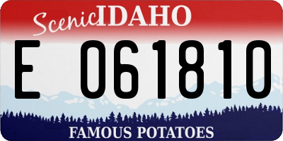 ID license plate E061810