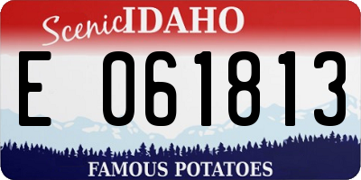 ID license plate E061813
