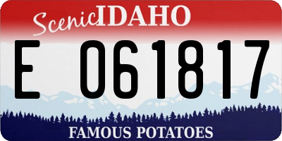 ID license plate E061817