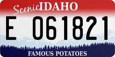 ID license plate E061821