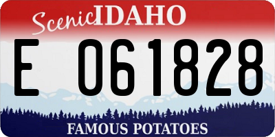 ID license plate E061828